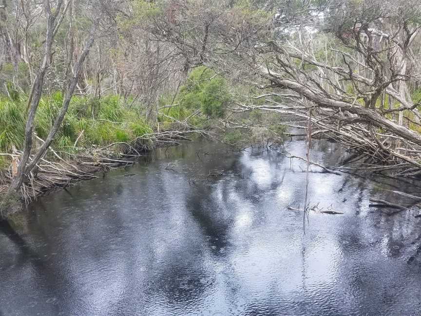 Sealers Cove, Wilsons Promontory, VIC