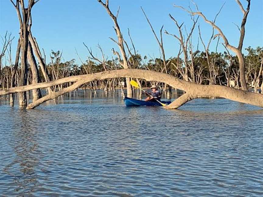 Lara Wetlands, Barcaldine, QLD