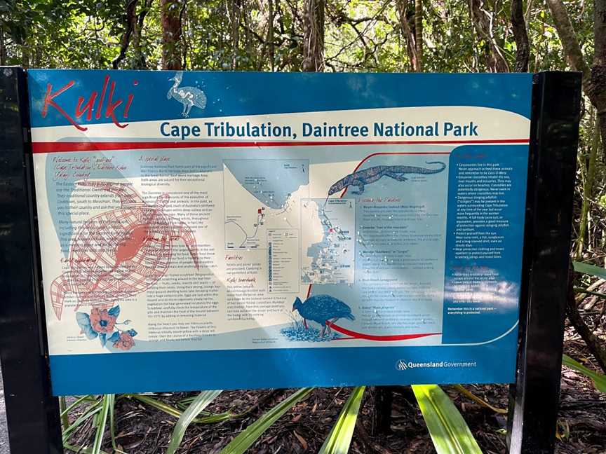 Kulki Boardwalk, Cape Tribulation, QLD