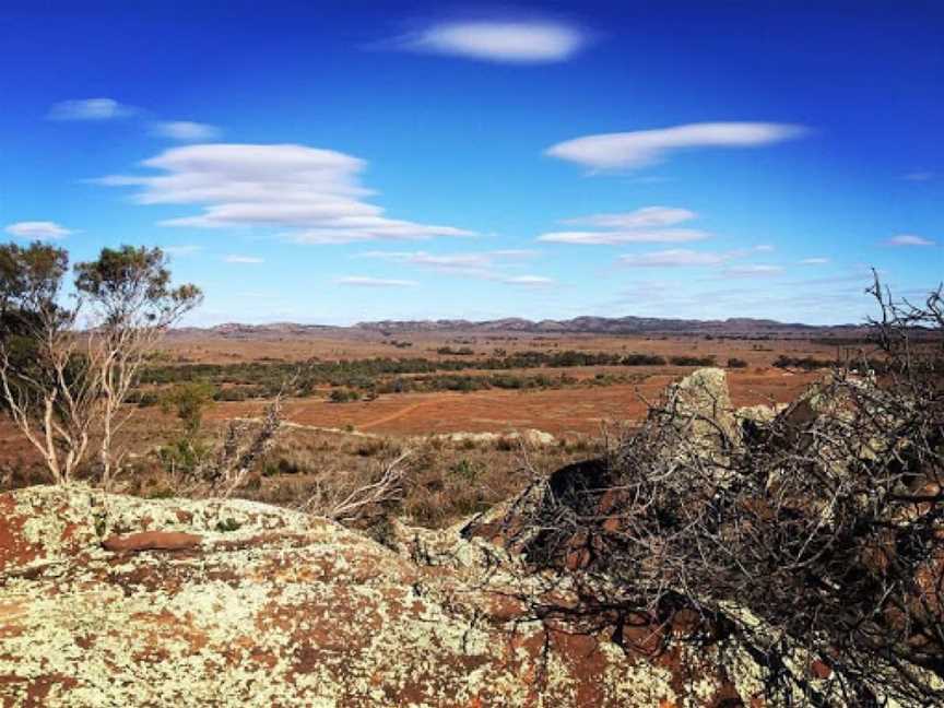 Bendleby Ranges, Orroroo, SA