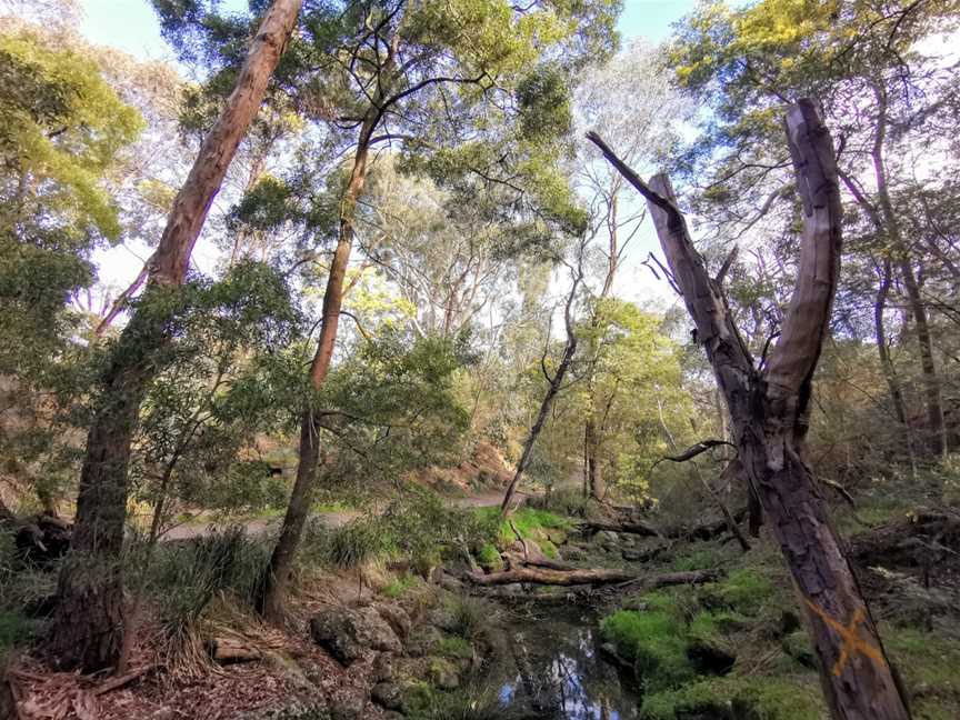 Damper Creek Reserve, Mount Waverley, VIC