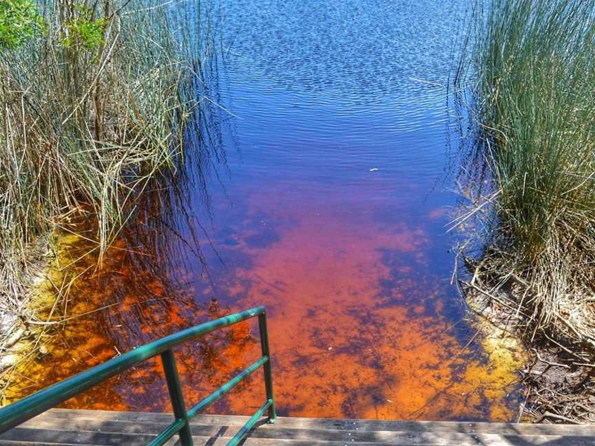 Lake Allom, K'gari, QLD