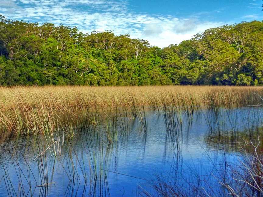 Lake Allom, K'gari, QLD