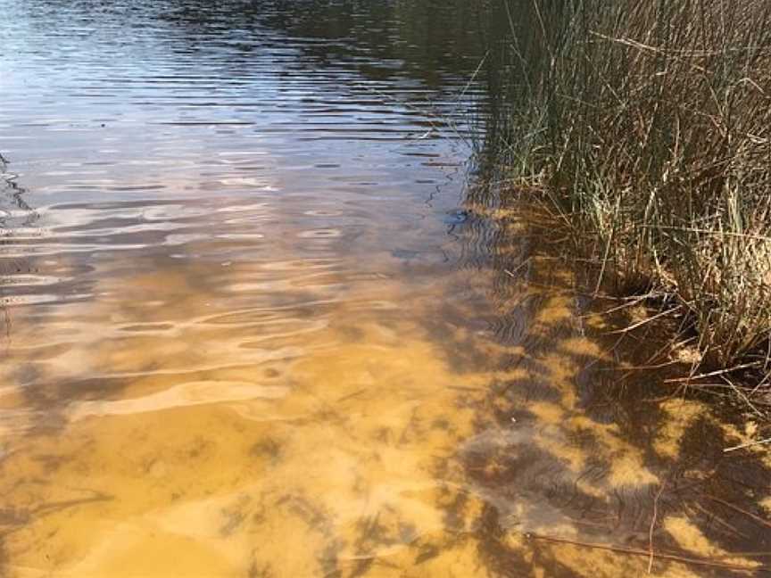 Lake Allom, K'gari, QLD