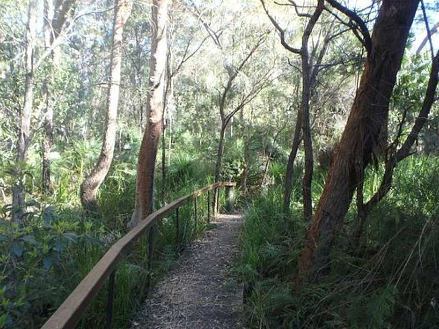 The Crommelin Native Arboretum, Pearl Beach, NSW