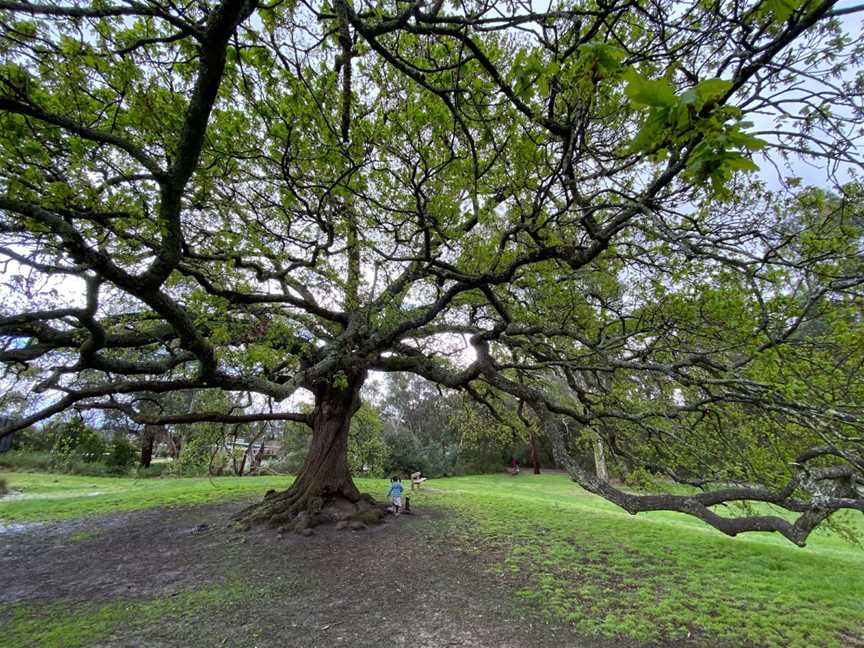 Kalang Park, Blackburn, VIC