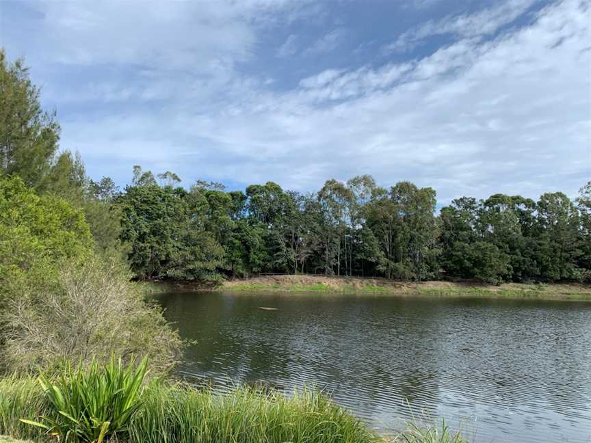 Mungarra Reserve, Petrie, QLD