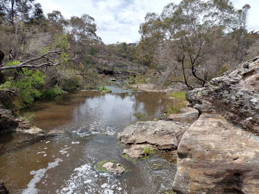 Box Vale Walking Track, Mittagong, NSW