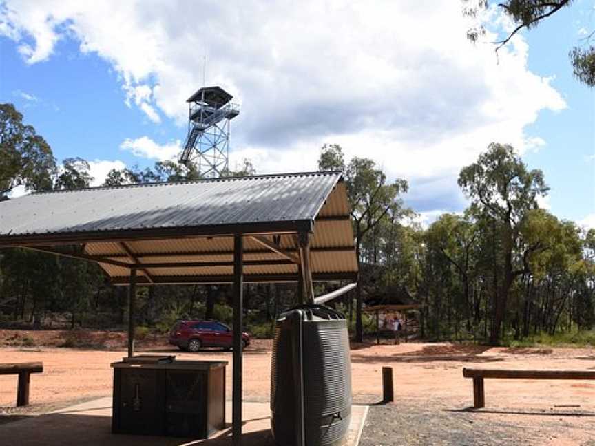 Pilliga National Park, Coonabarabran, NSW