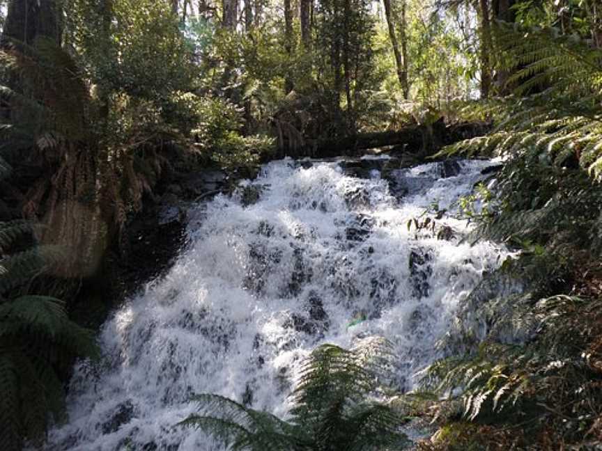 Cumberland Walk, Marysville, VIC