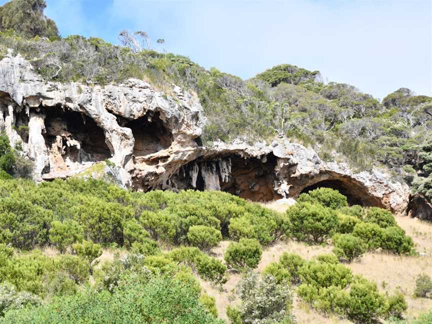Tarragal Caves, Cape Bridgewater, VIC