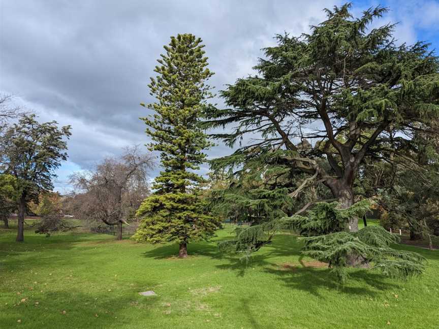 Boroondara Park, Canterbury, VIC