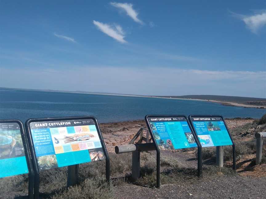 Fitzgerald Bay, Whyalla, SA