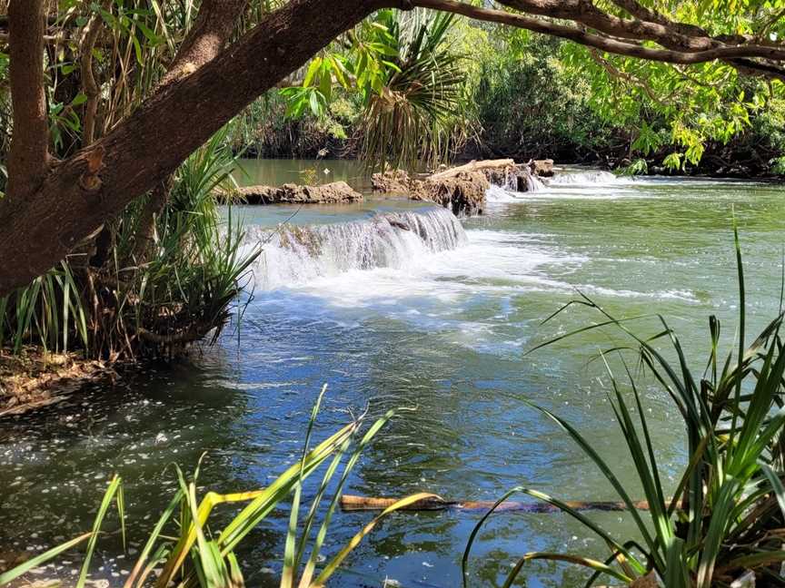 Mataranka Falls, Mataranka, NT