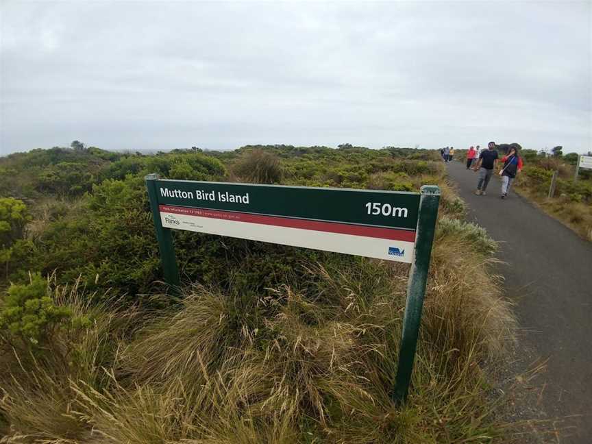 Mutton Bird Lookout, Port Campbell, VIC