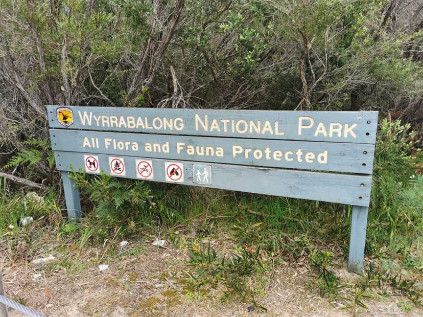 Wyrrabalong National Park, Magenta, NSW