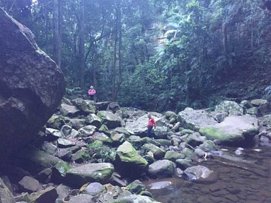 Gap Creek Falls Trail, Martinsville, NSW