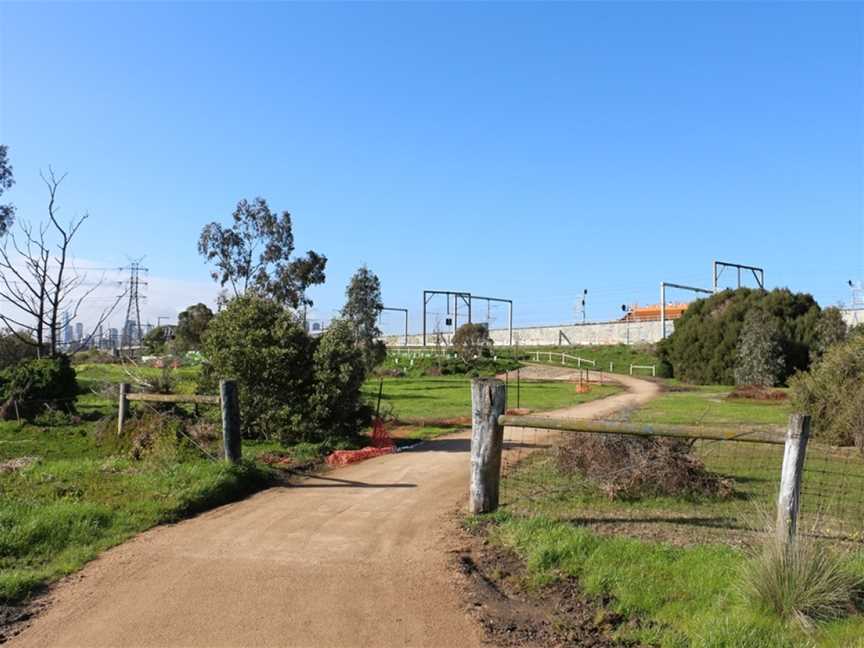 Newells Paddock Wetlands, Footscray, VIC