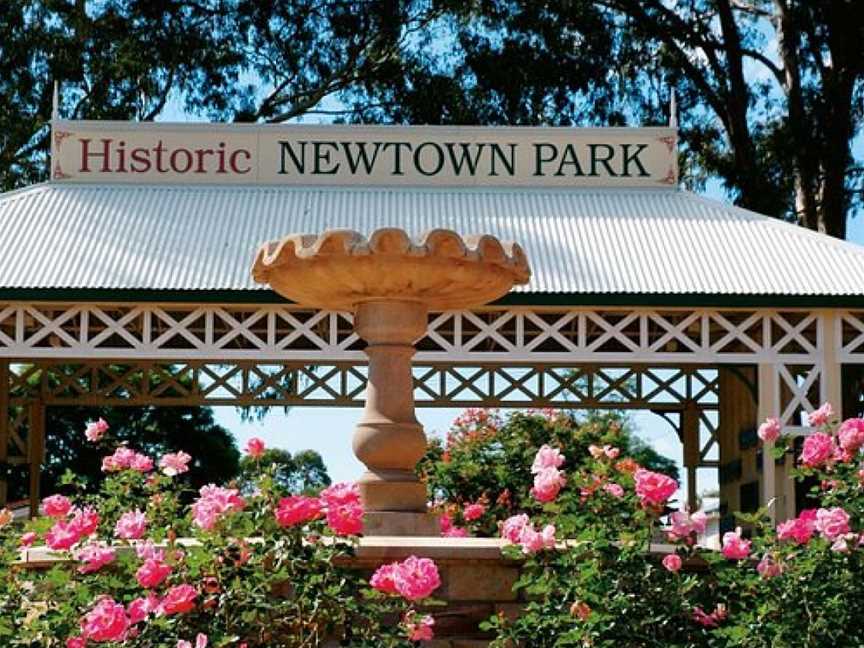 Newtown Park & Queensland State Rose Garden, Toowoomba City, QLD