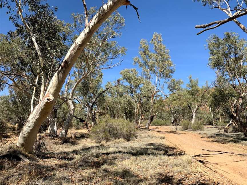 Owen Springs Reserve, Alice Springs, NT