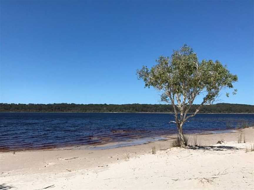 Boomanjin lake, K'gari, QLD