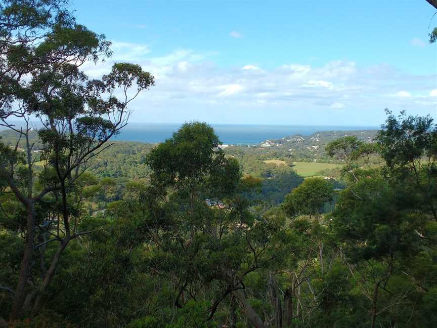 Kincumba Mountain Reserve, Kincumber, NSW