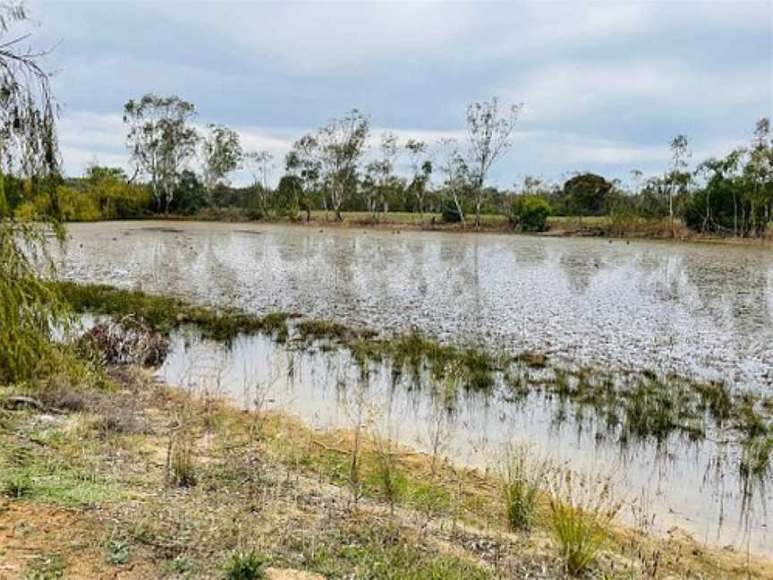 Numurkah Lake, Numurkah, VIC