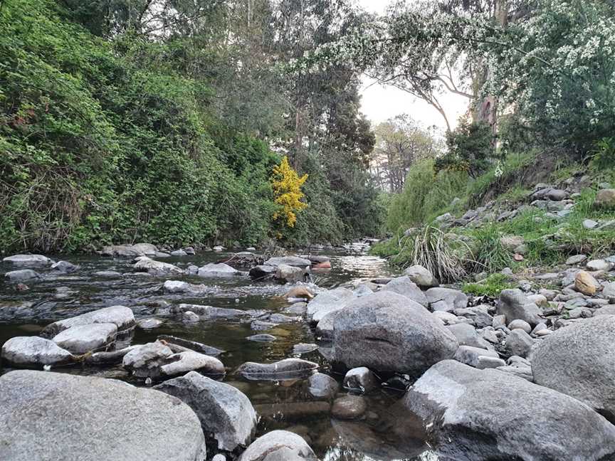 Hobart Rivulet Park, South Hobart, TAS