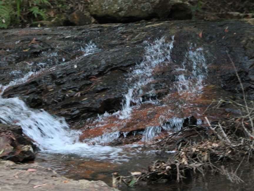 Hardys Lookout, Springbrook, QLD