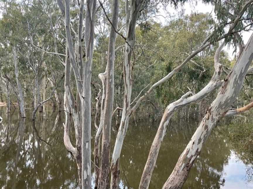 Mcleans Beach, Deniliquin, NSW