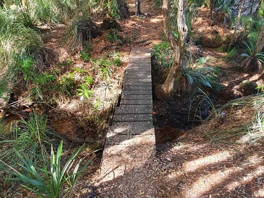 Whyte River Track, Corinna, TAS