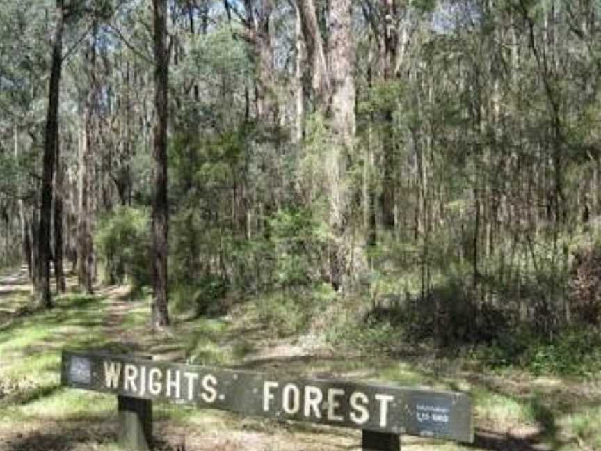 Wright Forest, Cockatoo, VIC