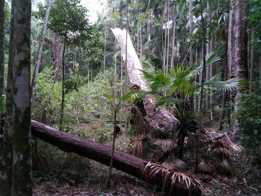 Wooroi Day Use Area, Tewantin, QLD