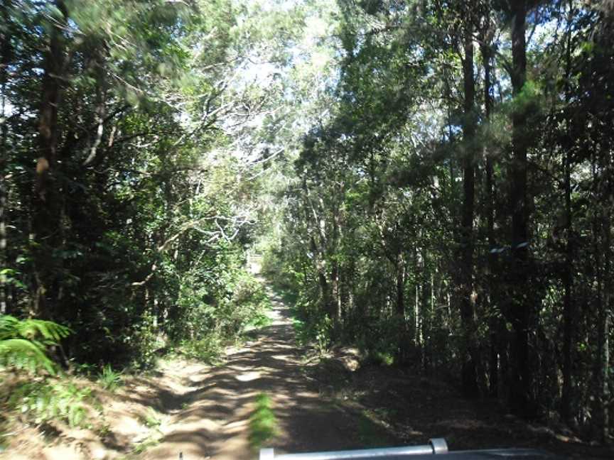 Danbulla National Park, Tinaroo, QLD