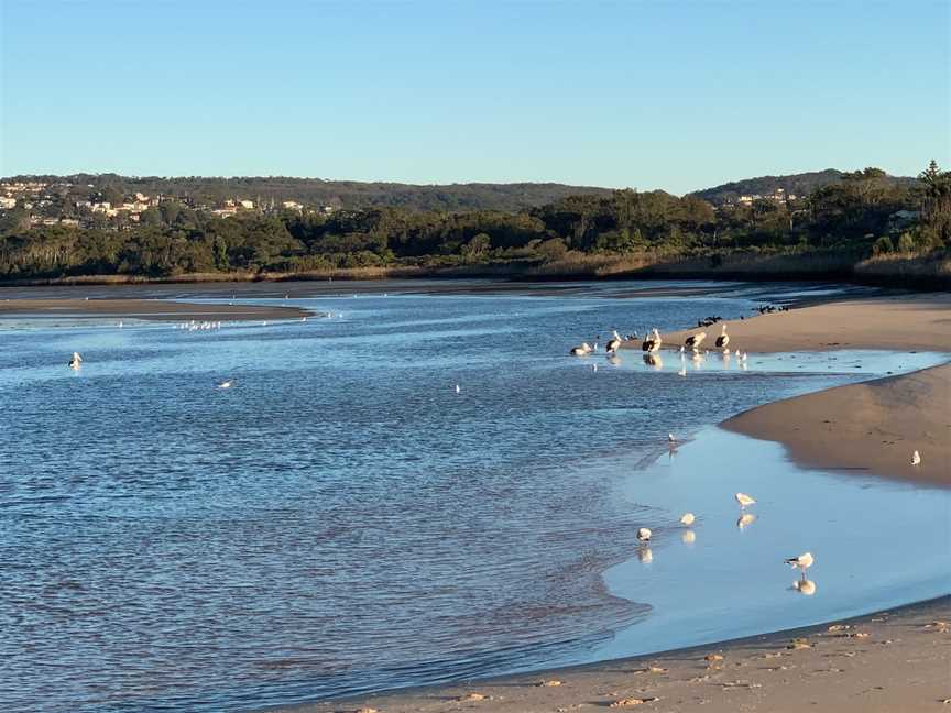 Dee Why Lagoon, Dee Why, NSW