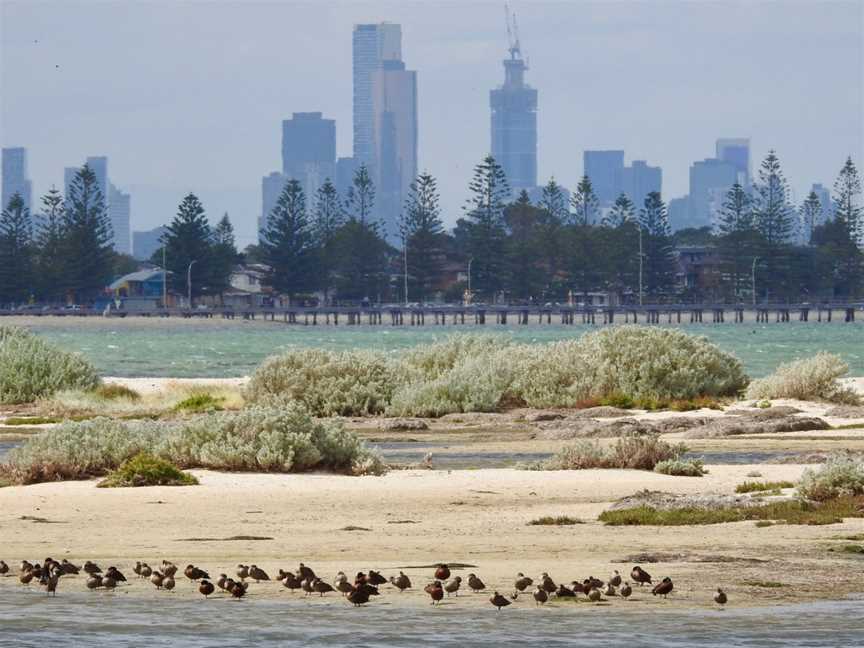 Doug Grant Reserve, Altona, VIC