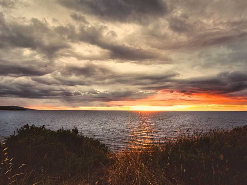 Fossil Beach, Mornington, VIC