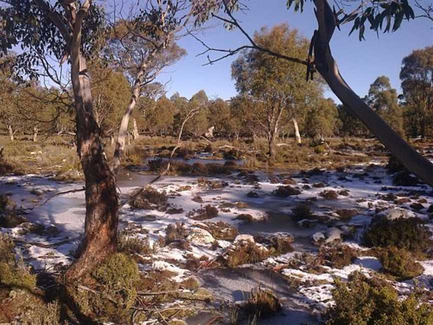 Great Western Tiers Conservation Area, Poatina, TAS