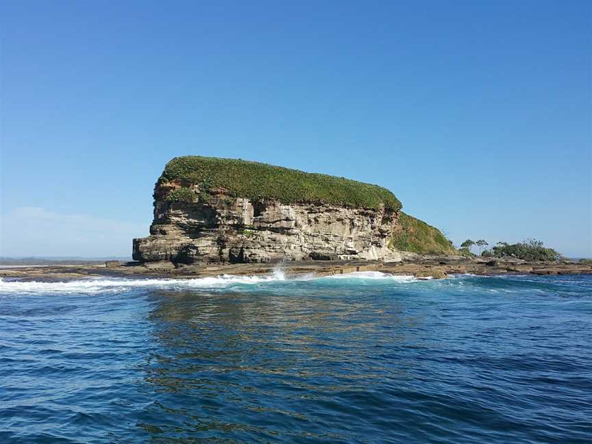 Maroochy River Conservation Park, Twin Waters, QLD