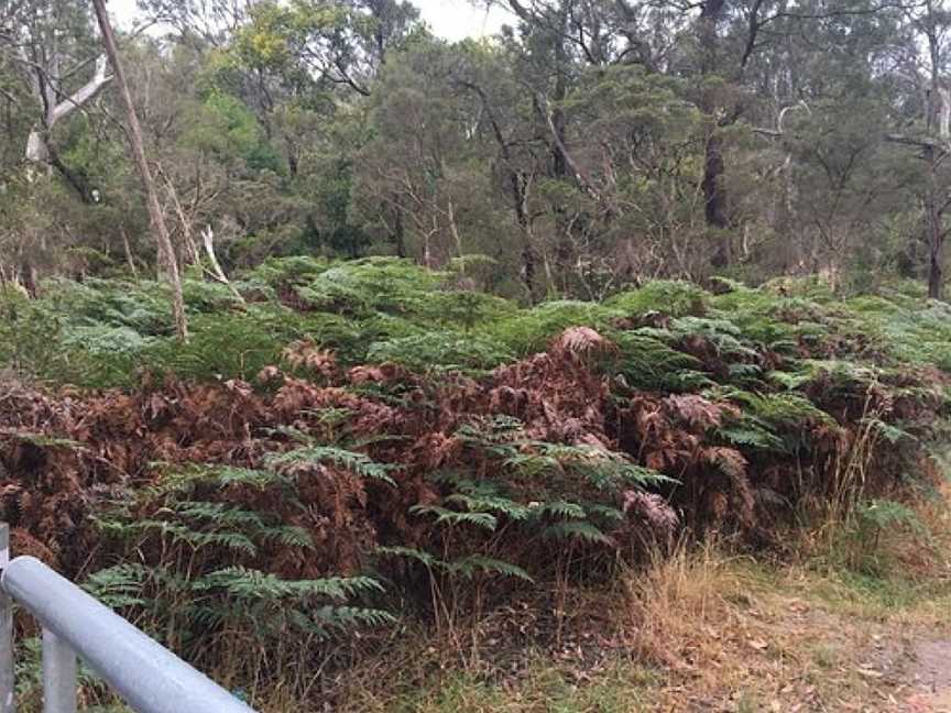 Mt Eliza Regional Park, Mount Eliza, VIC