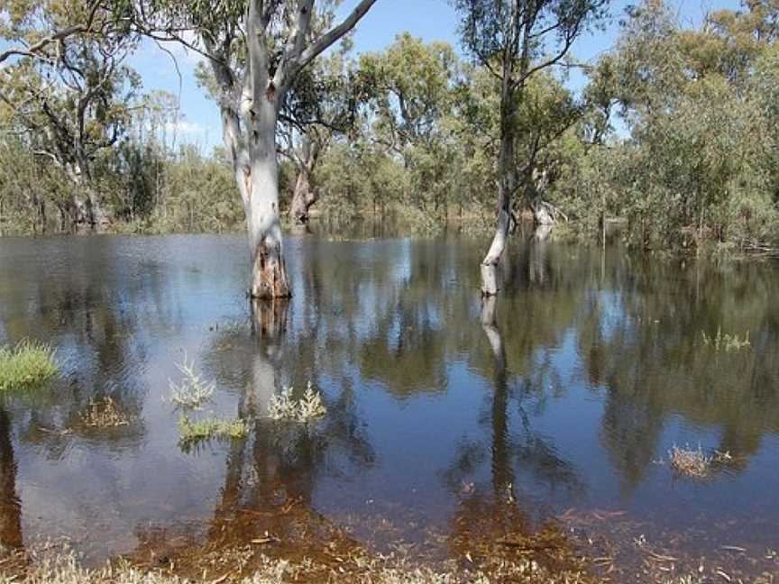 Thegoa Lagoon & Reserve, Wentworth, NSW