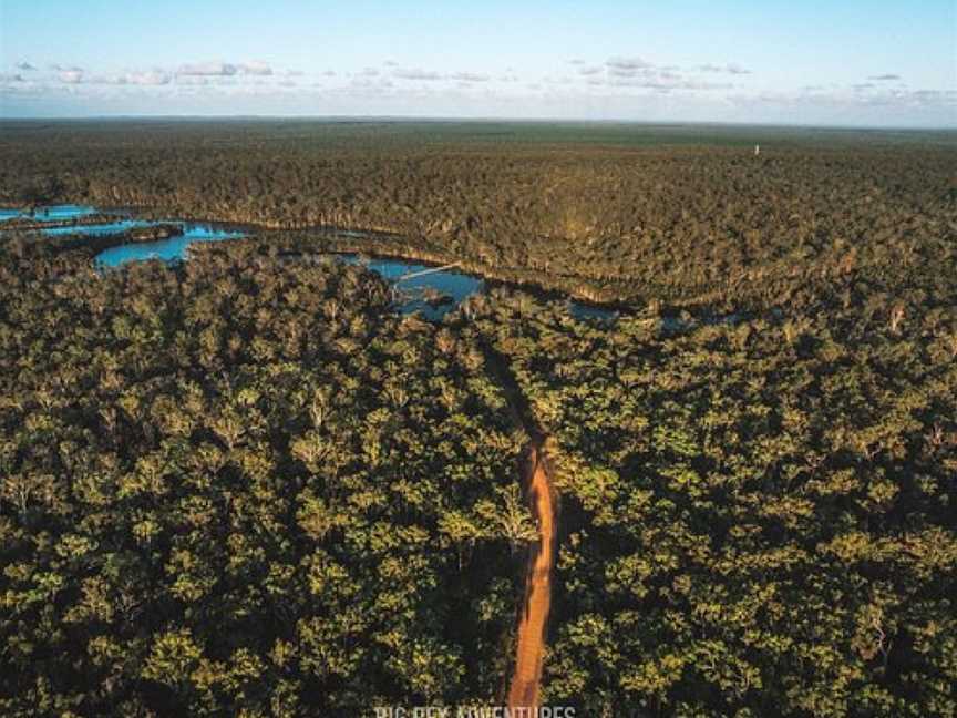 Wongi State forest (not national park), Maryborough, QLD