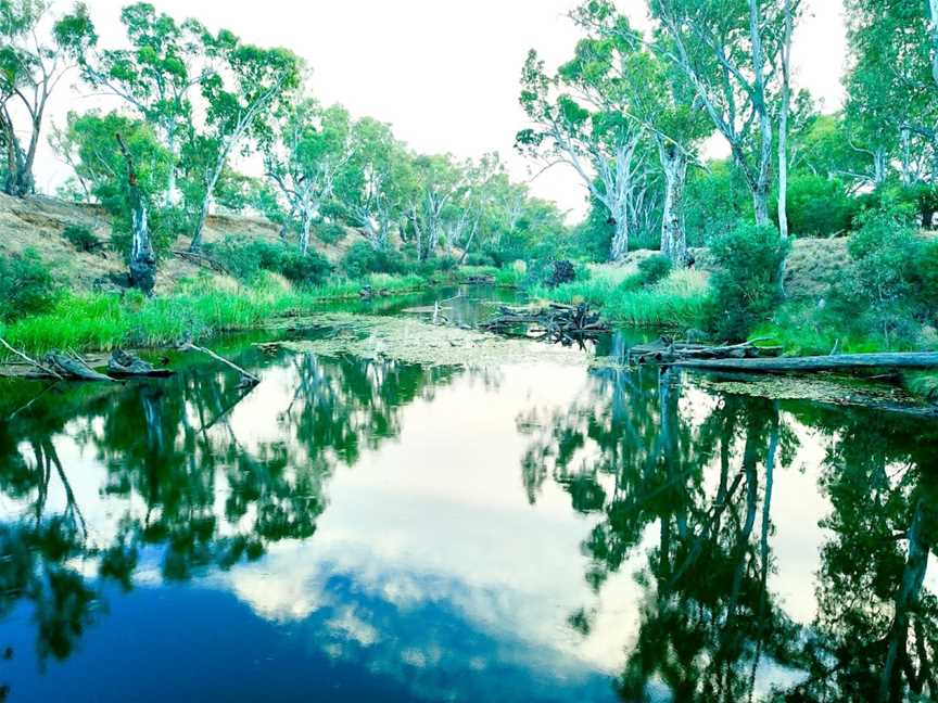 Bridgewater Swimming Hole, Bridgewater On Loddon, VIC