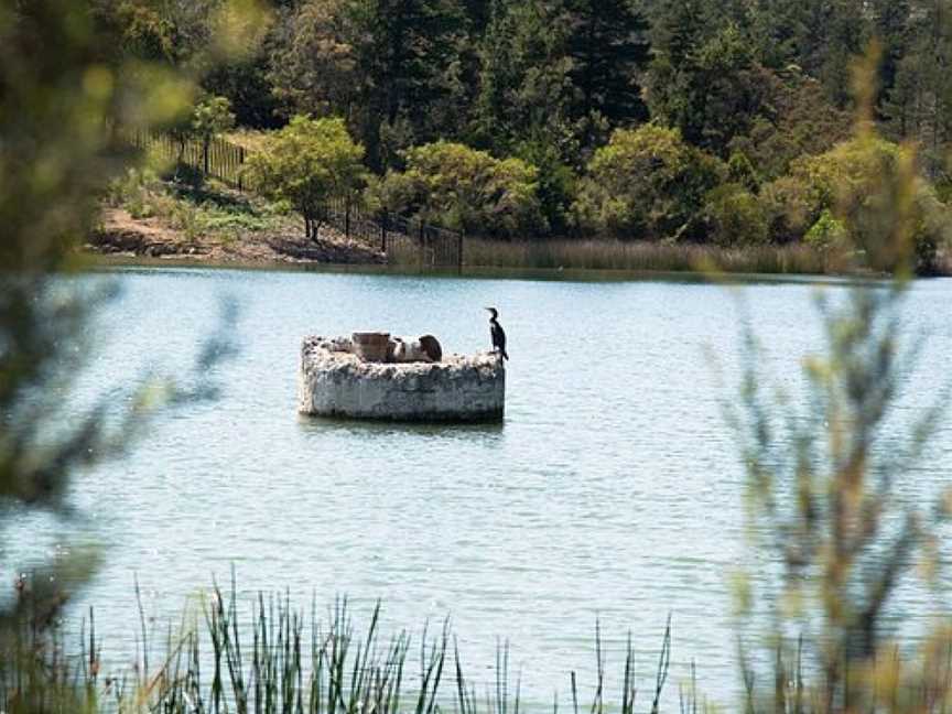 Frankston Nature Conservation Reserve, Frankston, VIC