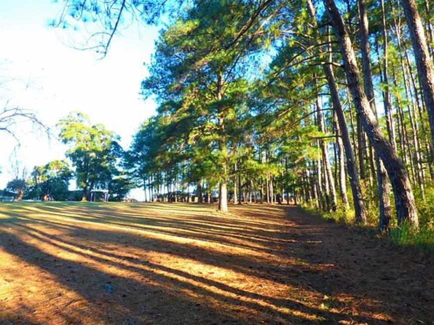 Lasiandra Park Wauchope, Wauchope, NSW