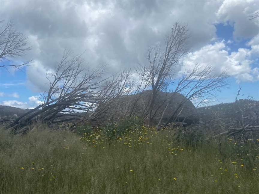 The Horn, Mount Buffalo, VIC