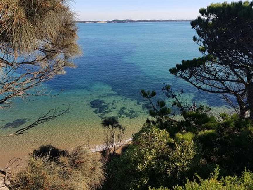 Anderson to San Remo Shared Pathway, San Remo, VIC