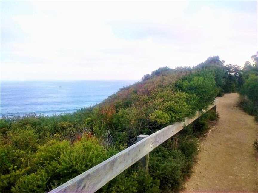 Fitzpatrick Seat, Aireys Inlet, VIC