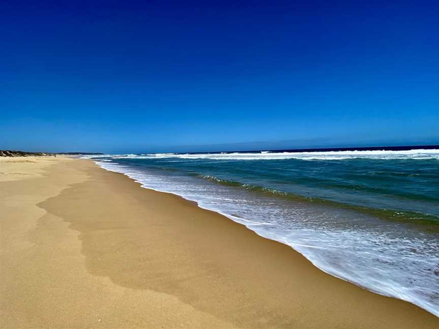 French Narrows Coastal Walk, Marlo, VIC