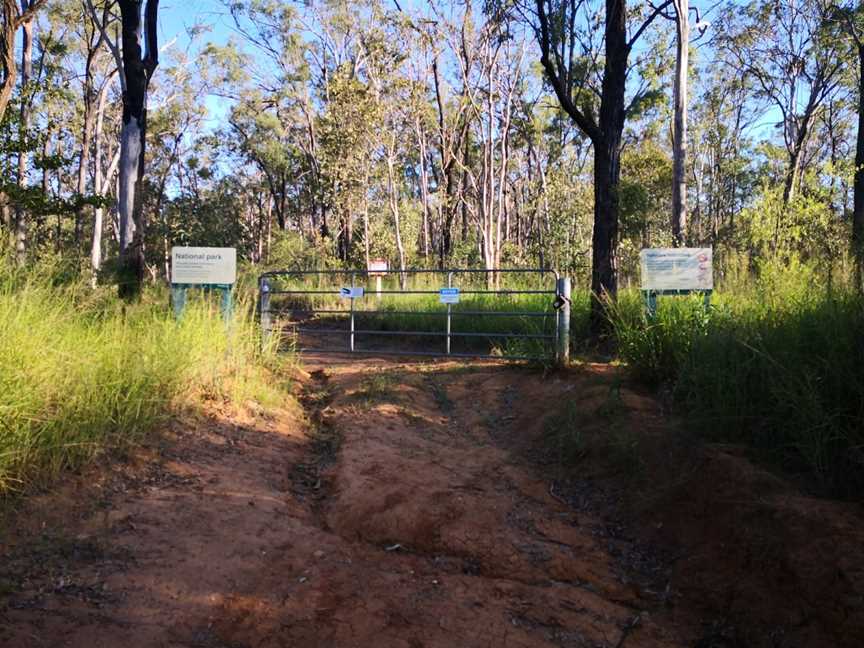 Gatton National Park, Gatton, QLD